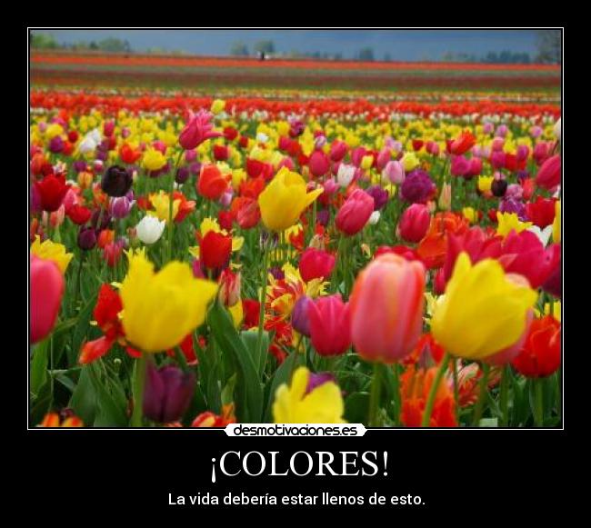 ¡COLORES! - La vida debería estar llenos de esto.