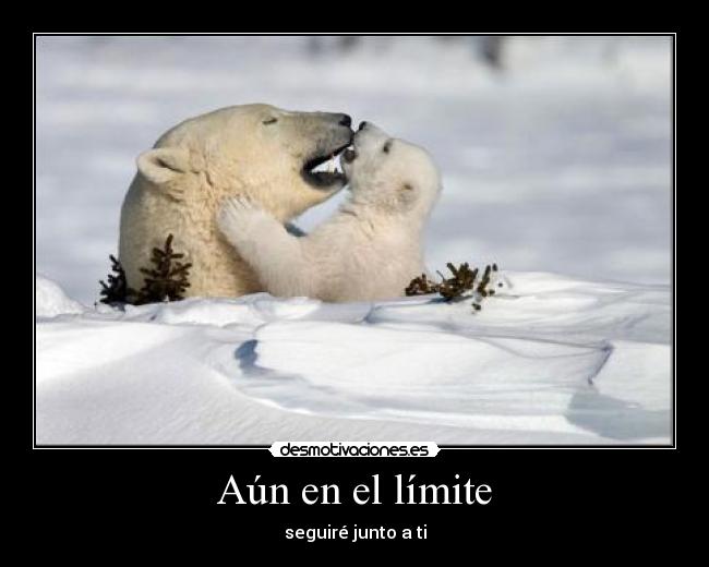 Aún en el límite -