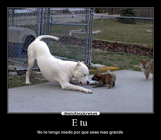 E tu - No te tengo miedo por que seas mas grande