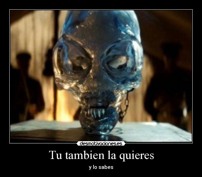 Tu tambien la quieres - 