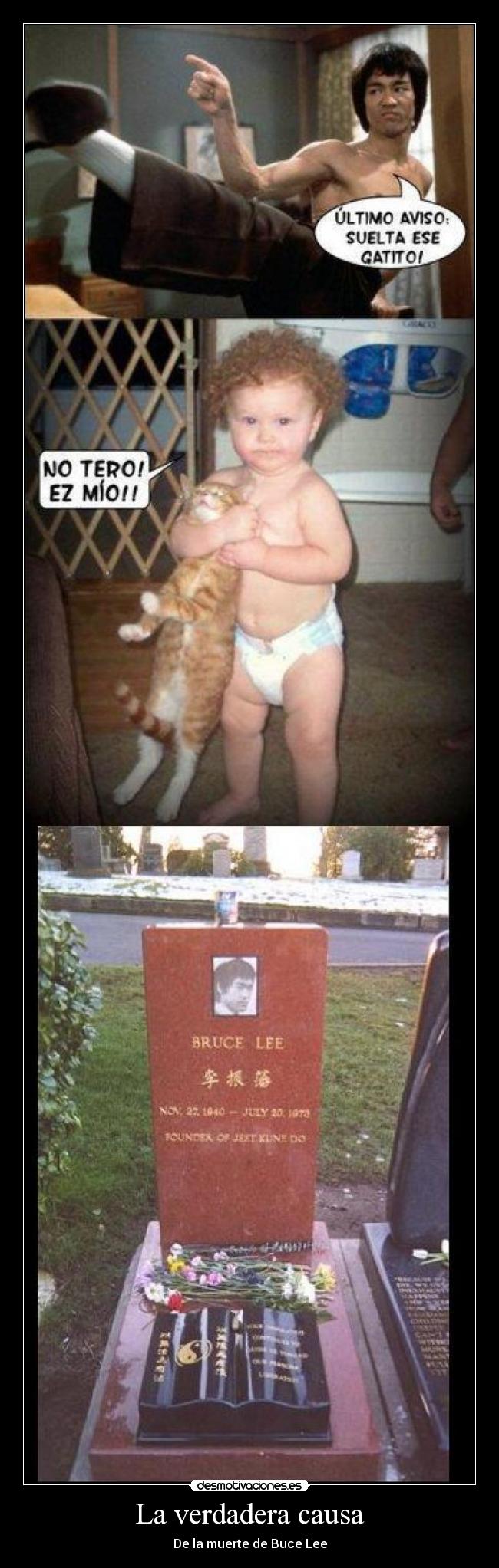 La verdadera causa - De la muerte de Buce Lee