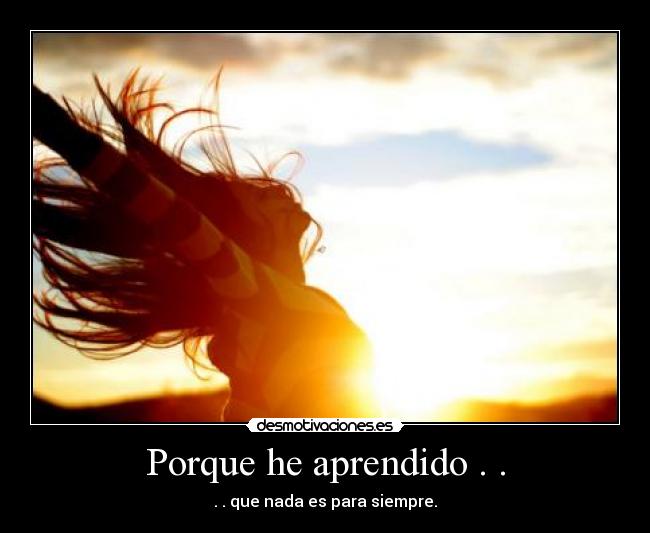 carteles aprendido nada siempre desmotivaciones