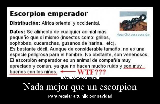 Nada mejor que un escorpion - Para regalar a tu hijo por navidad