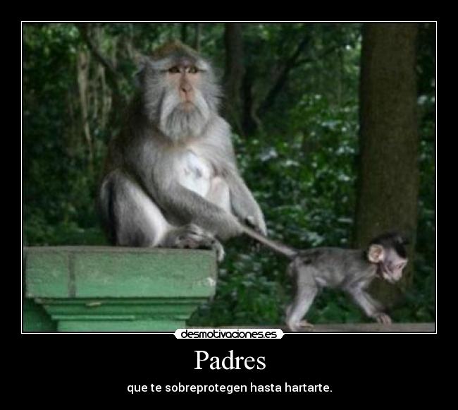 Padres - que te sobreprotegen hasta hartarte.