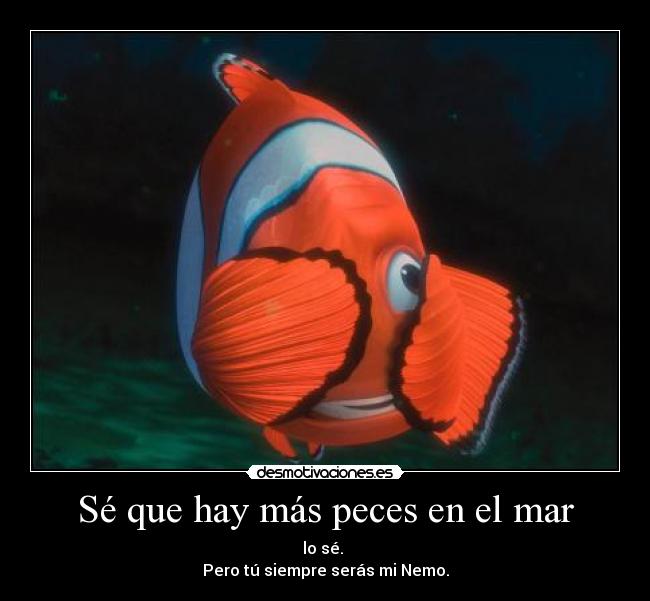 Sé que hay más peces en el mar - 