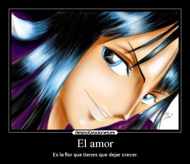 El amor - Es la flor que tienes que dejar crecer.