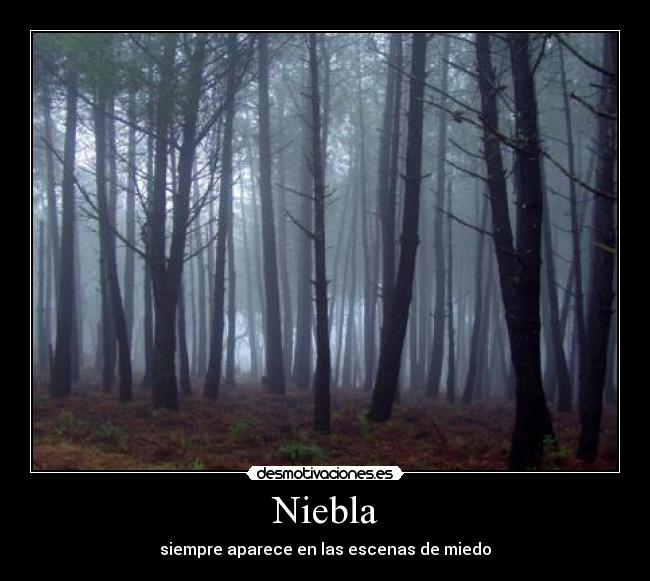 carteles niebla desmotivaciones