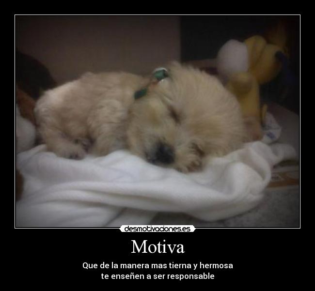 Motiva - Que de la manera mas tierna y hermosa
te enseñen a ser responsable