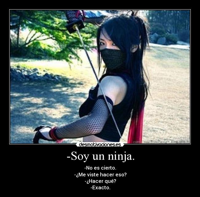 carteles ninja desmotivaciones