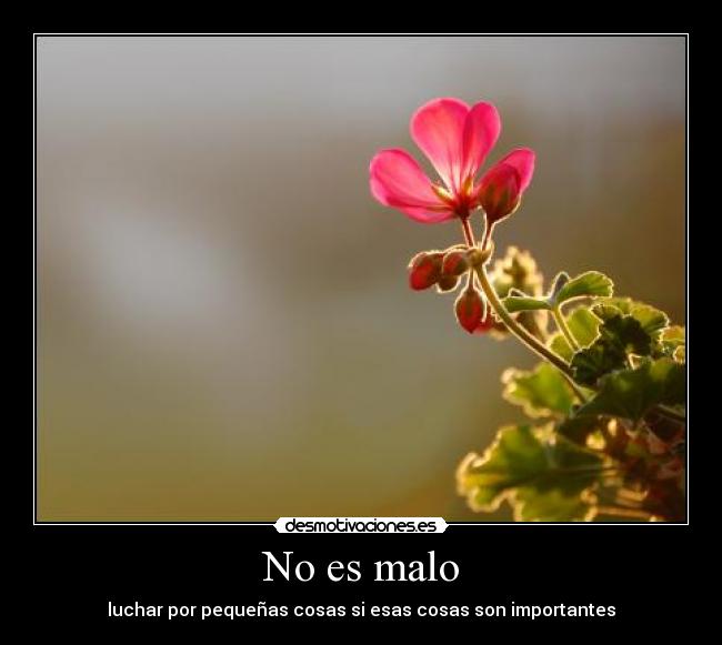 No es malo - luchar por pequeñas cosas si esas cosas son importantes