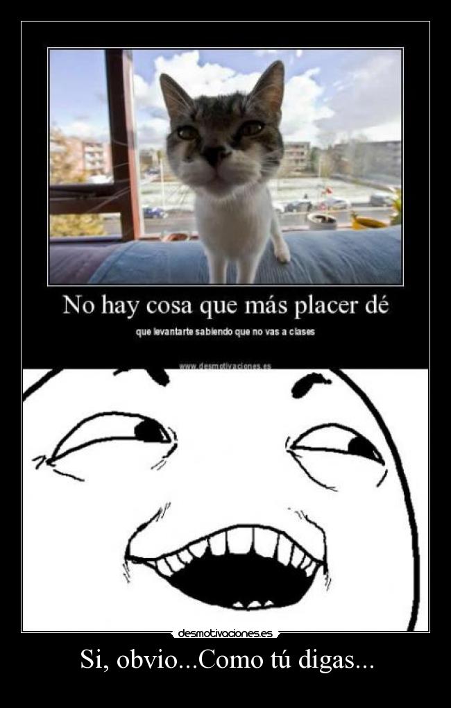 Si, obvio...Como tú digas... -