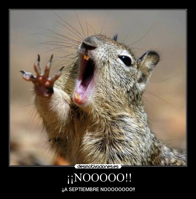 ¡¡NOOOOO!! -