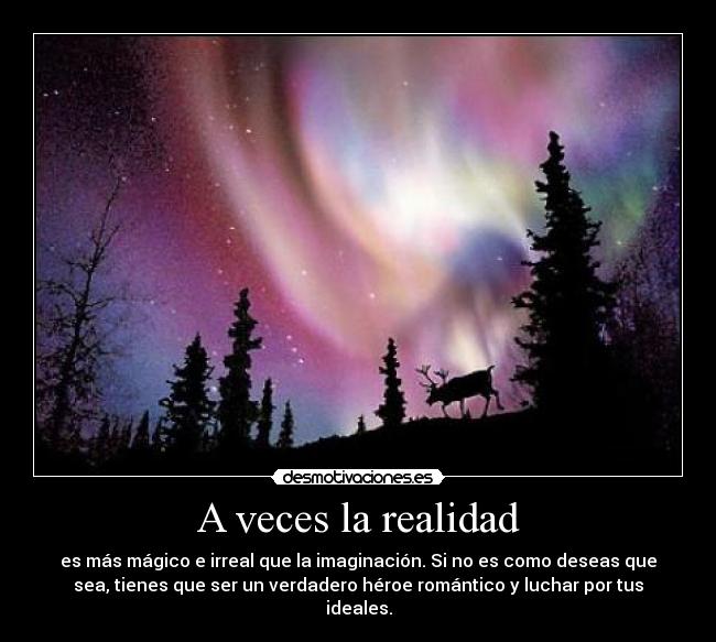 carteles realismo suenos magia fantasia luchar romanticismo ideal politica aurora boreal desmotivaciones