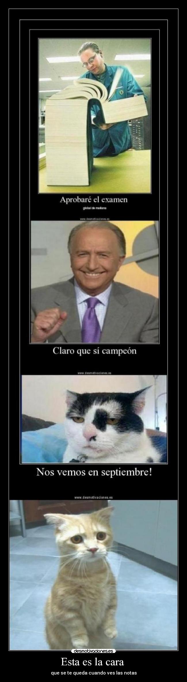 Esta es la cara - que se te queda cuando ves las notas