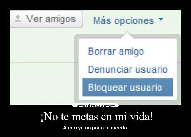 ¡No te metas en mi vida! - Ahora ya no podras hacerlo.