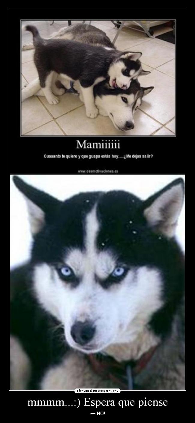 carteles dejas espera desmotivaciones