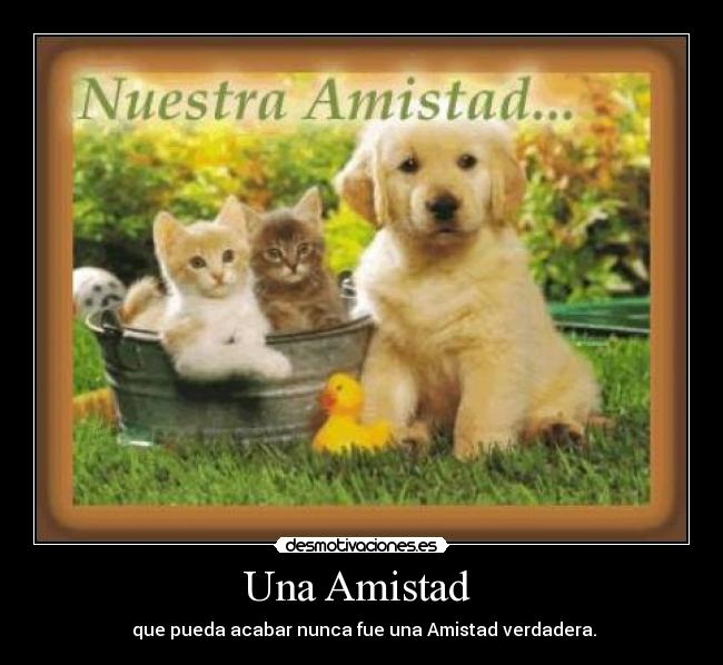 Una Amistad -