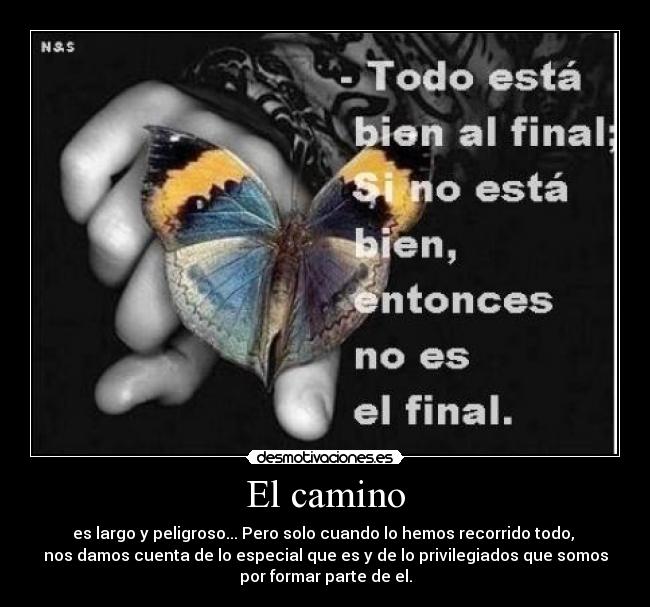 carteles carpe_diem desmotivaciones