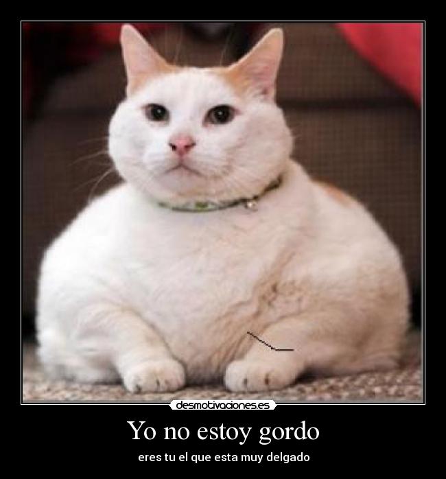 Yo no estoy gordo - eres tu el que esta muy delgado