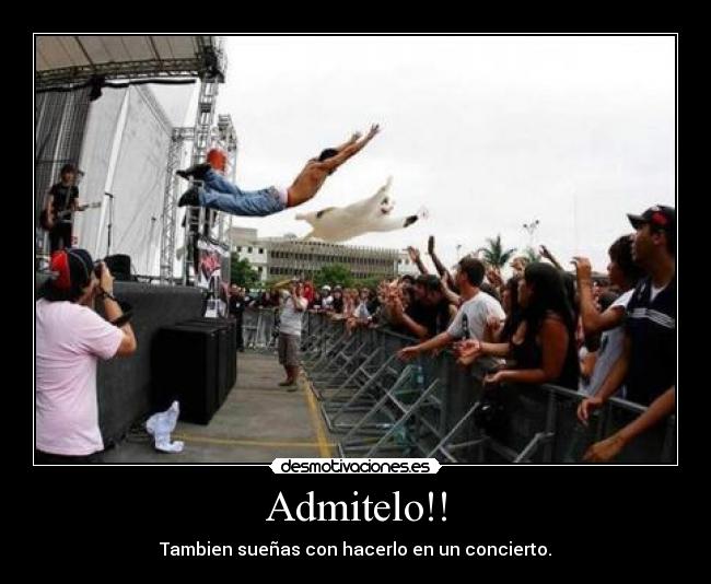 carteles adimelovisteconciertomusica desmotivaciones