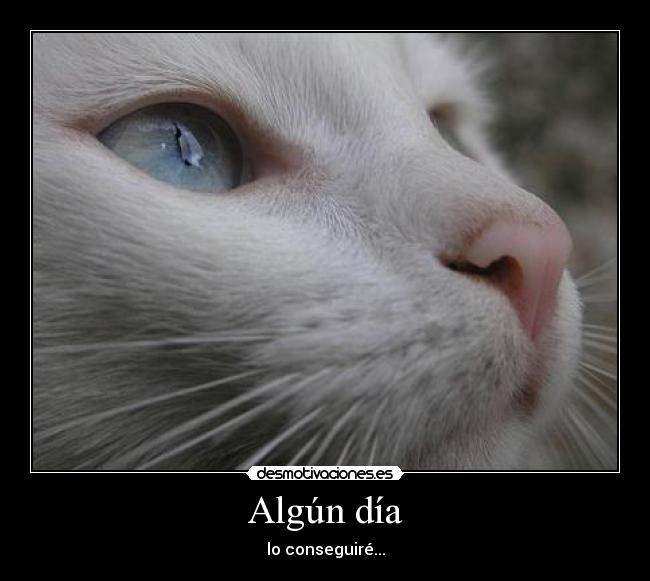 Algún día - lo conseguiré...