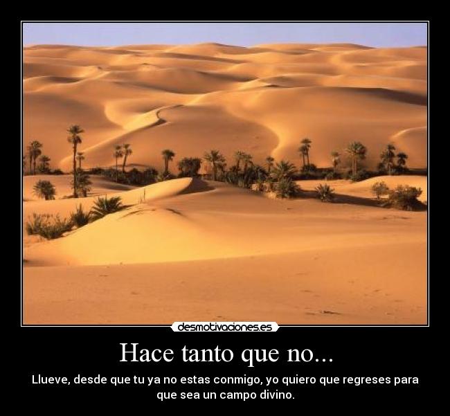 Hace tanto que no... -