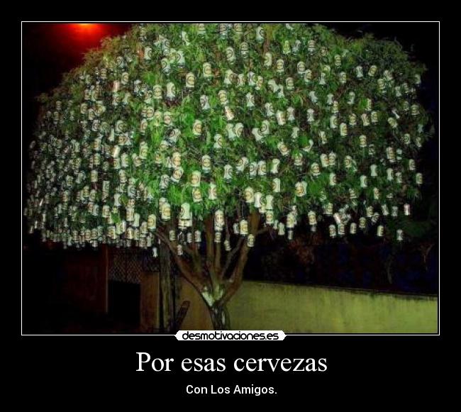 Por esas cervezas - Con Los Amigos.