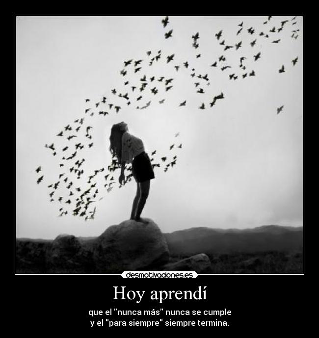 Hoy aprendí - que el nunca más nunca se cumple
y el para siempre siempre termina.