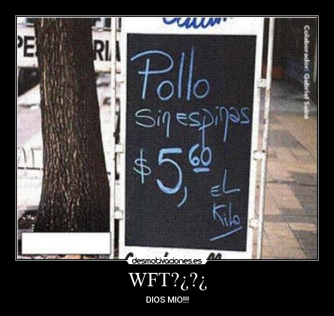 WFT?¿?¿ -