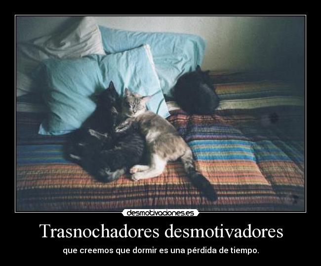 Trasnochadores desmotivadores - que creemos que dormir es una pérdida de tiempo.