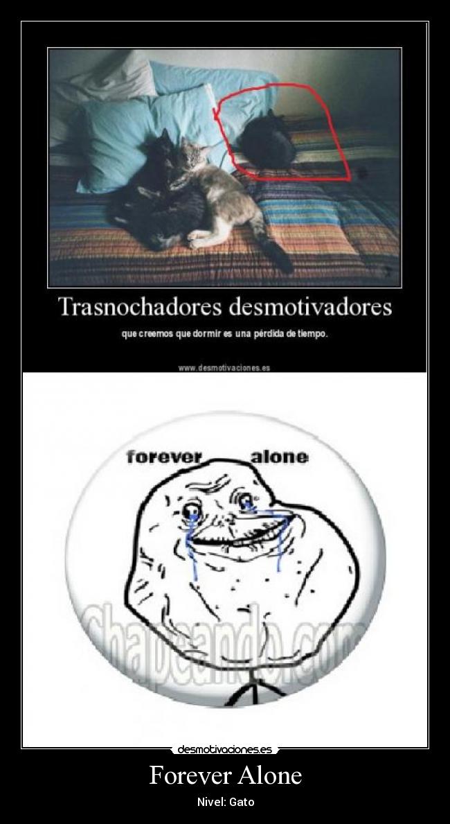 carteles forever alone desmotivaciones