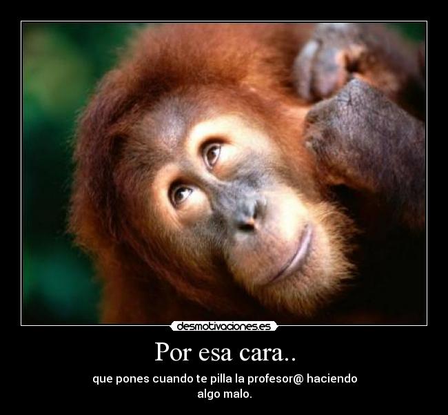 Por esa cara.. - que pones cuando te pilla la profesor@ haciendo
algo malo.