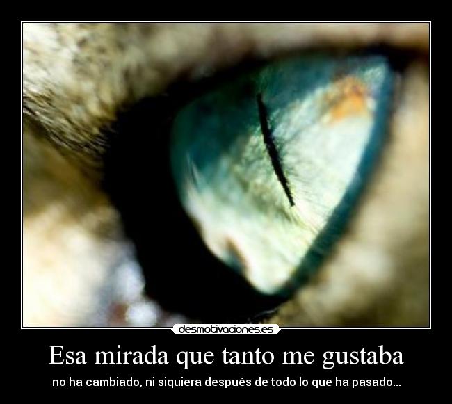 Esa mirada que tanto me gustaba -