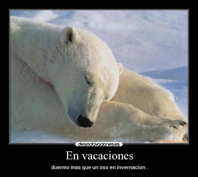 En vacaciones - duermo mas que un oso en invernacion .