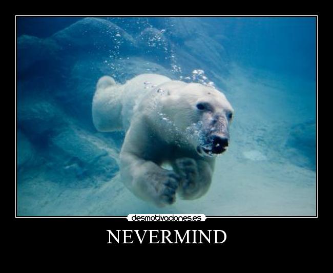 NEVERMIND - 