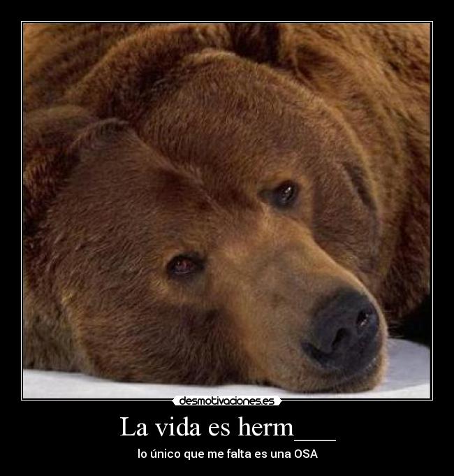 La vida es herm___ - 