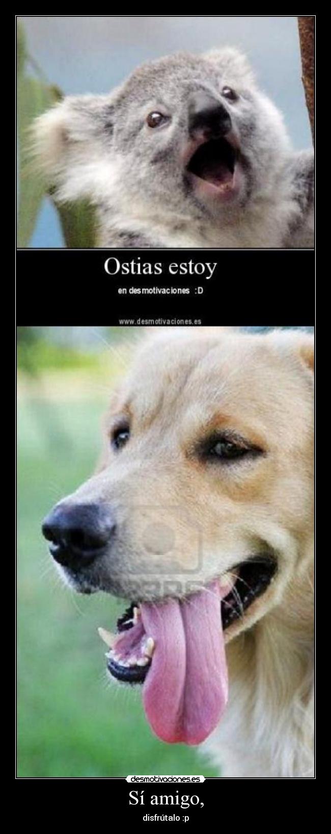 Sí amigo, - disfrútalo :p