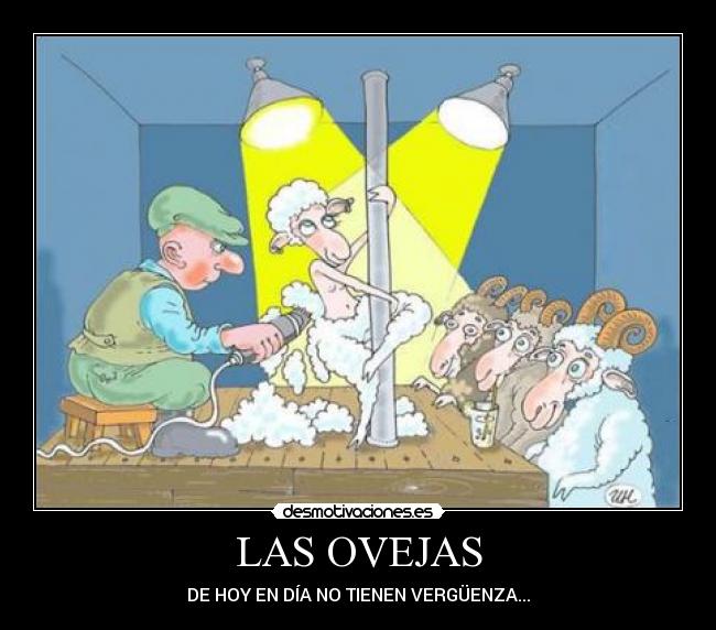 LAS OVEJAS -