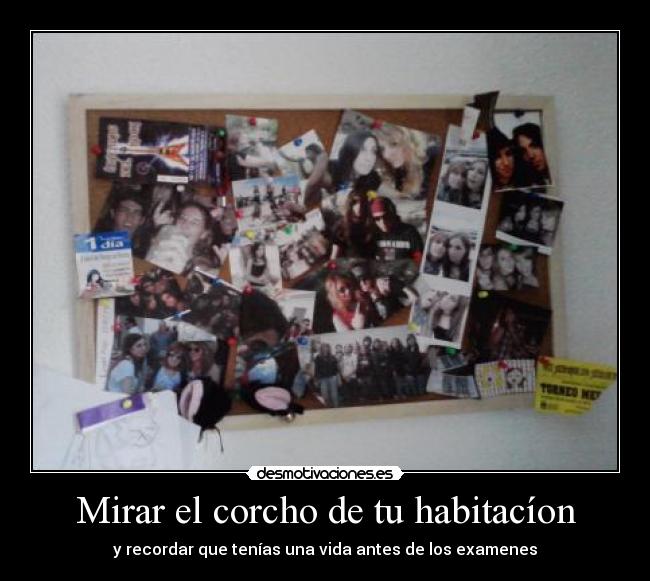 Mirar el corcho de tu habitacíon - y recordar que tenías una vida antes de los examenes