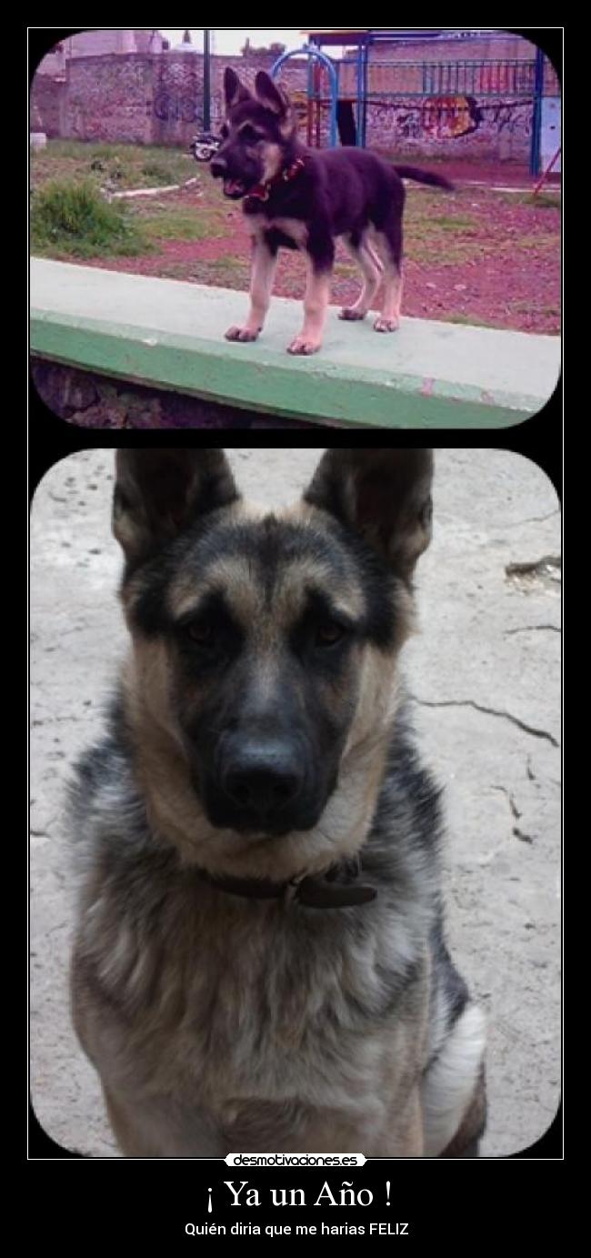 ¡ Ya un Año ! - 