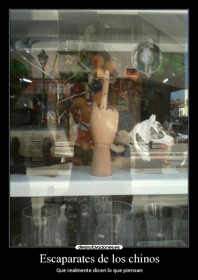 Escaparates de los chinos - 