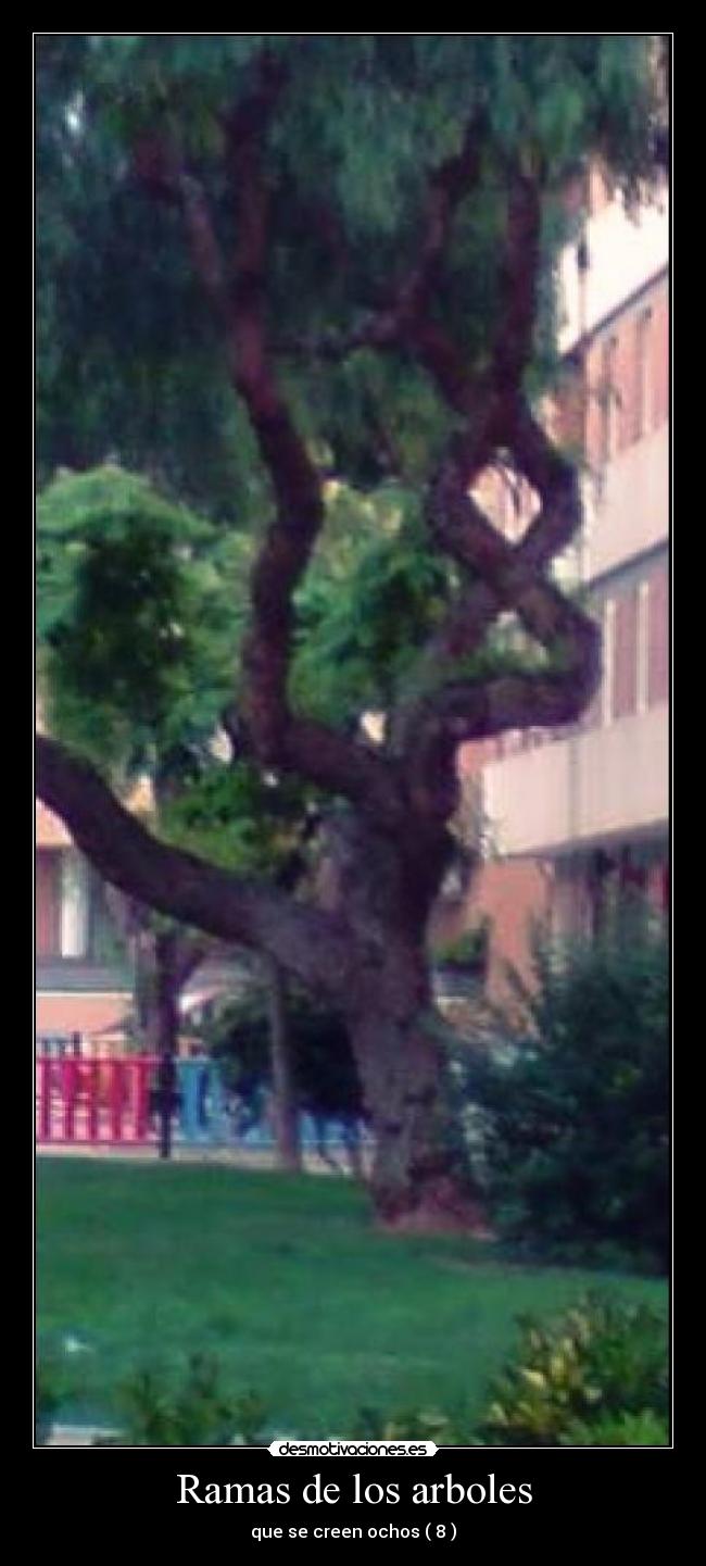 Ramas de los arboles - que se creen ochos ( 8 )