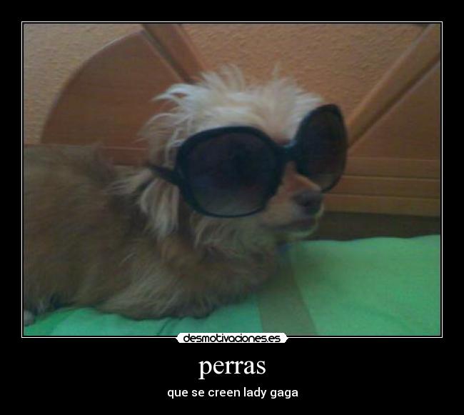 perras -