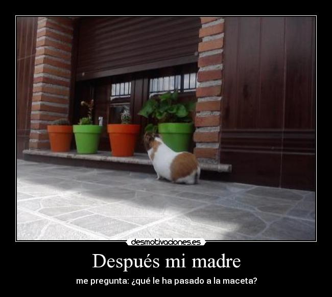 Después mi madre -