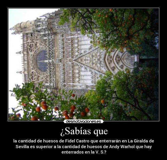 ¿Sabías que - la cantidad de huesos de Fidel Castro que enterrarán en La Giralda de
Sevilla es superior a la cantidad de huesos de Andy Warhol que hay
enterrados en la V. S.?