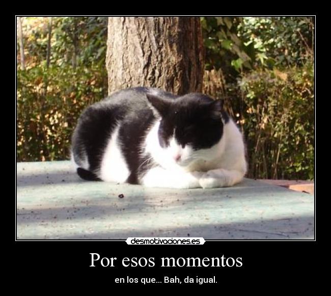 Por esos momentos -