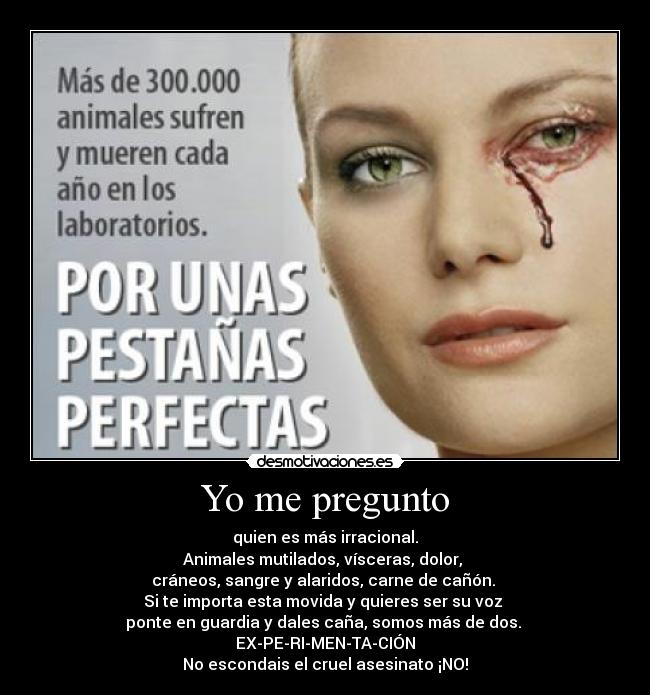 carteles pregunto desmotivaciones