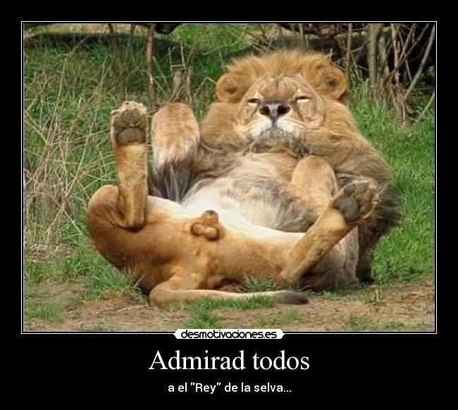 Admirad todos - 