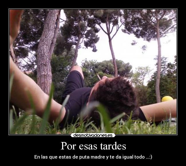 carteles verano desmotivaciones