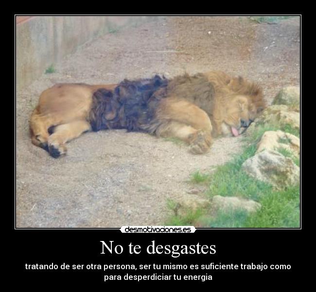 No te desgastes - tratando de ser otra persona, ser tu mismo es suficiente trabajo como
para desperdiciar tu energia